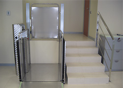 Salvaescaleras vertical Silver