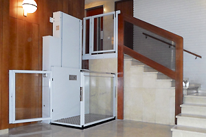 Salvaescaleras verticales Zubir